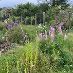 Henrita Im Elsass Bed & Breakfast