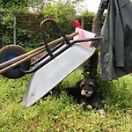 Henrita Im Elsass Haguenau