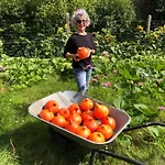 Bed & Breakfast Henrita Im Elsass *