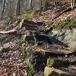Henrita Im Elsass