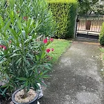 Bed & Breakfast Henrita Im Elsass Haguenau