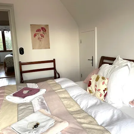 Henrita Im Elsass Haguenau