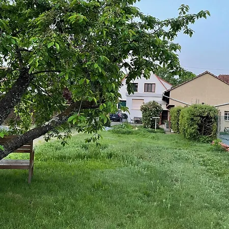 Henrita Im Elsass * Haguenau