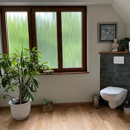 Panzió Henrita Im Elsass Haguenau