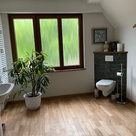 Panzió Henrita Im Elsass *