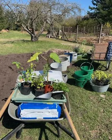 Henrita Im Elsass Panzió
