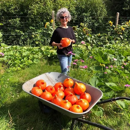Panzió Henrita Im Elsass *