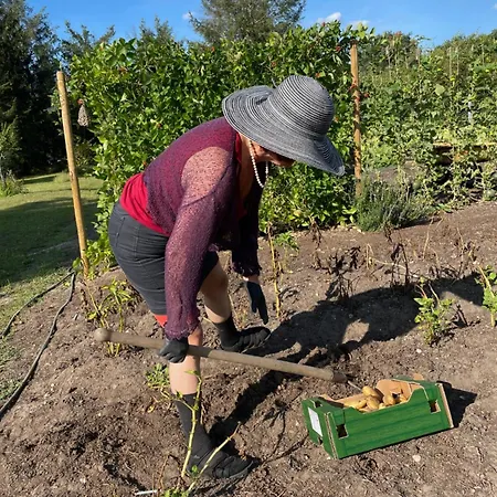 Henrita Im Elsass Haguenau