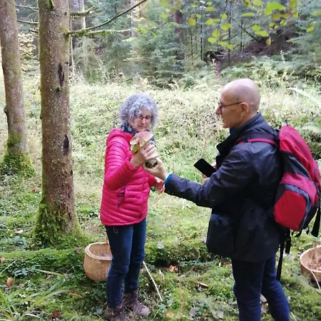 Henrita Im Elsass * Haguenau
