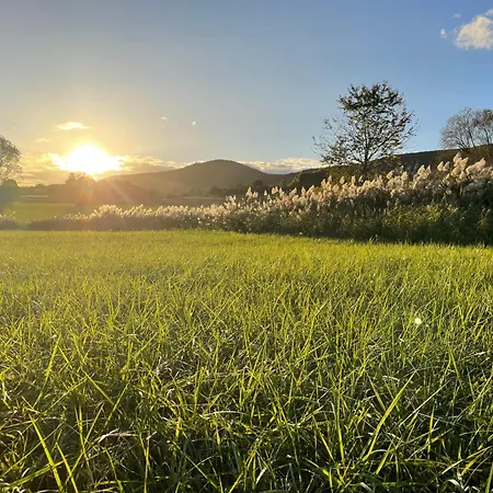 Henrita Im Elsass Panzió