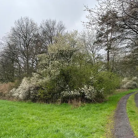 Panzió Henrita Im Elsass Haguenau