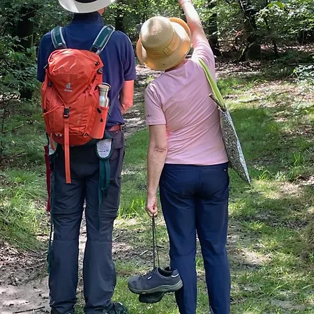 Henrita Im Elsass Panzió