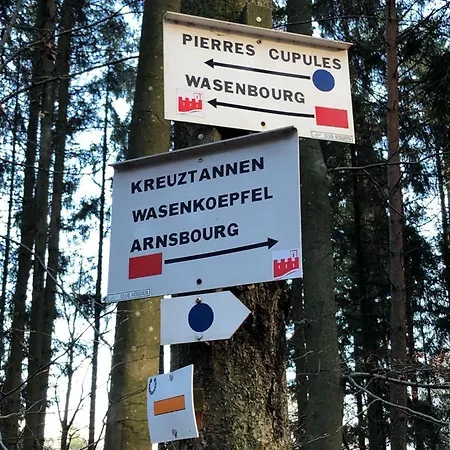 Henrita Im Elsass Nocleg ze śniadaniem Haguenau