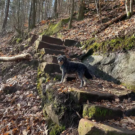 Henrita Im Elsass