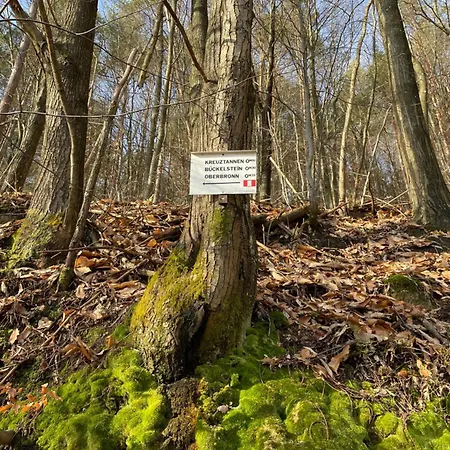 Panzió Henrita Im Elsass