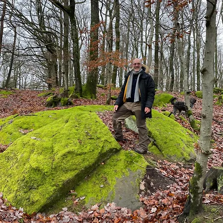 Panzió Henrita Im Elsass Haguenau