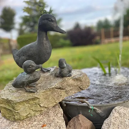 Henrita Im Elsass Haguenau