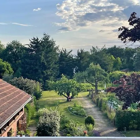 Henrita Im Elsass