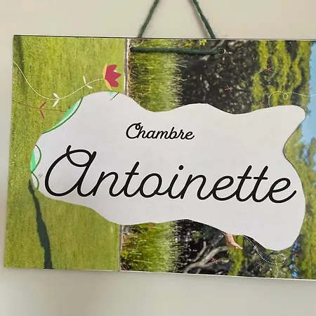 Panzió Henrita Im Elsass